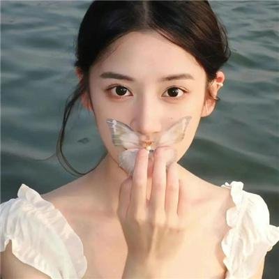 喙与脑：使用工具的鸟类